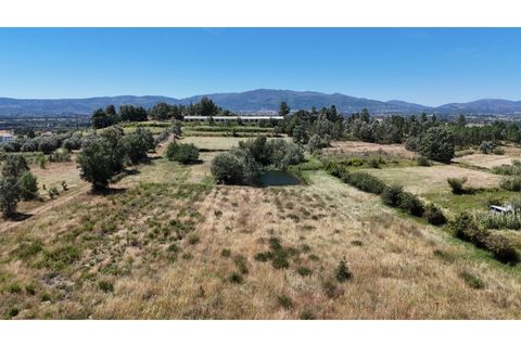 Terra a Fundao, Castelo Branco, Fundao - € 240.000 | Ref: SÒL_447 - foto 39