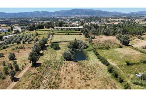 Terra a Fundao, Castelo Branco, Fundao - € 240.000 | Ref: SÒL_447 - foto 40