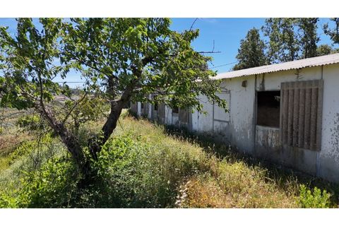 Terra a Fundao, Castelo Branco, Fundao - € 240.000 | Ref: SÒL_447 - foto 41