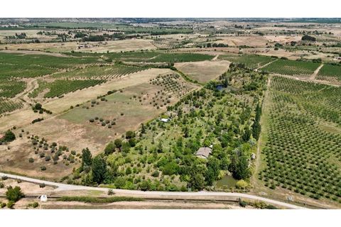 Farm i Ladoeiro, Castelo Branco, Ladoeiro - € 280.000 | Ref: MAS_369 - foto 1