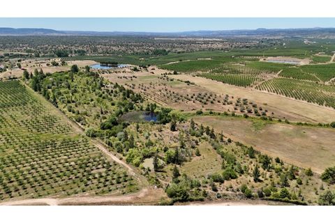 Farm i Ladoeiro, Castelo Branco, Ladoeiro - € 280.000 | Ref: MAS_369 - foto 2