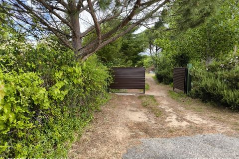 Farm i Ladoeiro, Castelo Branco, Ladoeiro - € 280.000 | Ref: MAS_369 - foto 4
