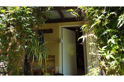 Farm i Ladoeiro, Castelo Branco, Ladoeiro - € 280.000 | Ref: MAS_369 - foto 7