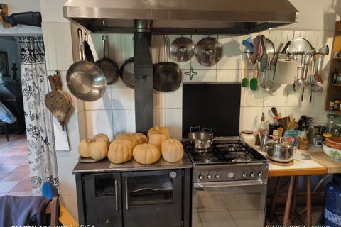 Farm i Ladoeiro, Castelo Branco, Ladoeiro - € 280.000 | Ref: MAS_369 - foto 8