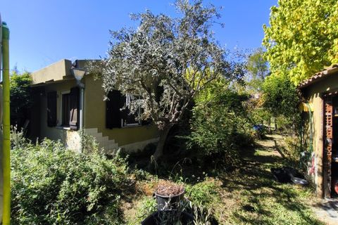 Farm i Ladoeiro, Castelo Branco, Ladoeiro - € 280.000 | Ref: MAS_369 - foto 10