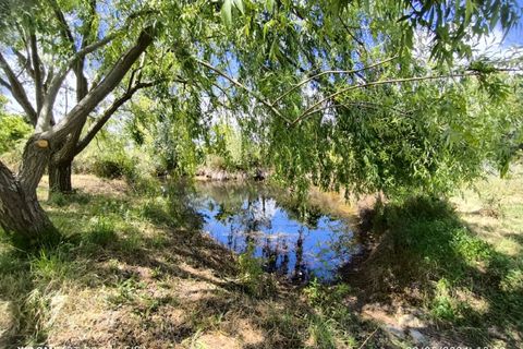 Farm i Ladoeiro, Castelo Branco, Ladoeiro - € 280.000 | Ref: MAS_369 - foto 11