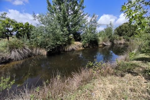 Farm i Ladoeiro, Castelo Branco, Ladoeiro - € 280.000 | Ref: MAS_369 - foto 18