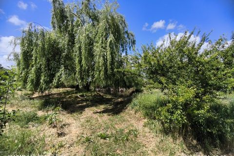 Farm i Ladoeiro, Castelo Branco, Ladoeiro - € 280.000 | Ref: MAS_369 - foto 21