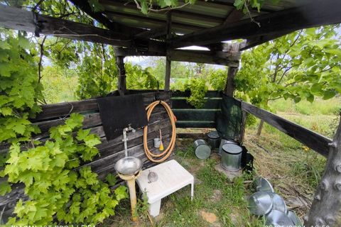 Farm i Ladoeiro, Castelo Branco, Ladoeiro - € 280.000 | Ref: MAS_369 - foto 23