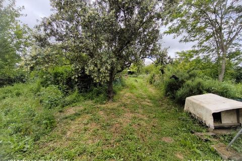 Farm i Ladoeiro, Castelo Branco, Ladoeiro - € 280.000 | Ref: MAS_369 - foto 24