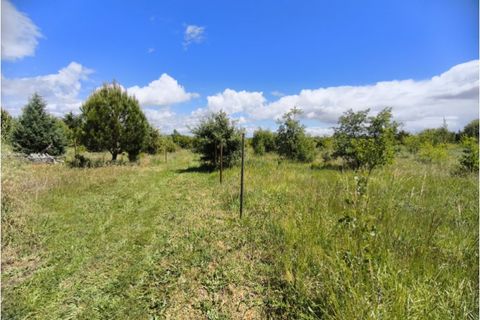 Farm i Ladoeiro, Castelo Branco, Ladoeiro - € 280.000 | Ref: MAS_369 - foto 29