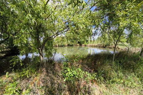 Farm i Ladoeiro, Castelo Branco, Ladoeiro - € 280.000 | Ref: MAS_369 - foto 32