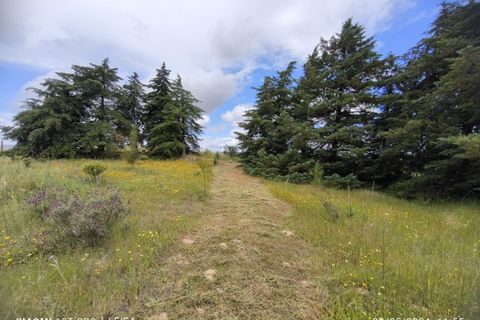 Farm i Ladoeiro, Castelo Branco, Ladoeiro - € 280.000 | Ref: MAS_369 - foto 34