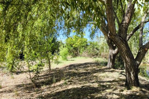 Farm i Ladoeiro, Castelo Branco, Ladoeiro - € 280.000 | Ref: MAS_369 - foto 38