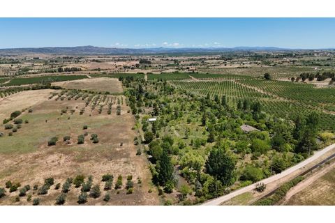 Farm i Ladoeiro, Castelo Branco, Ladoeiro - € 280.000 | Ref: MAS_369 - foto 42