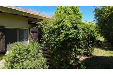 Farm i Ladoeiro, Castelo Branco, Ladoeiro - € 280.000 | Ref: MAS_369 - foto 43