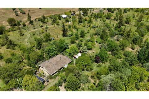 Farm i Ladoeiro, Castelo Branco, Ladoeiro - € 280.000 | Ref: MAS_369 - foto 44