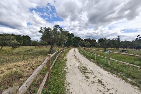 Landejendom i Penamacor, Castelo Branco, Penamacor - € 900.000 | Ref: EXP_448 - foto 5