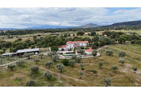 Landejendom i Penamacor, Castelo Branco, Penamacor - € 900.000 | Ref: EXP_448 - foto 12