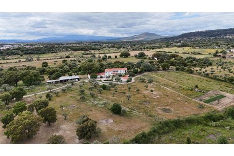 Landejendom i Penamacor, Castelo Branco, Penamacor - € 900.000 | Ref: EXP_448 - foto 46