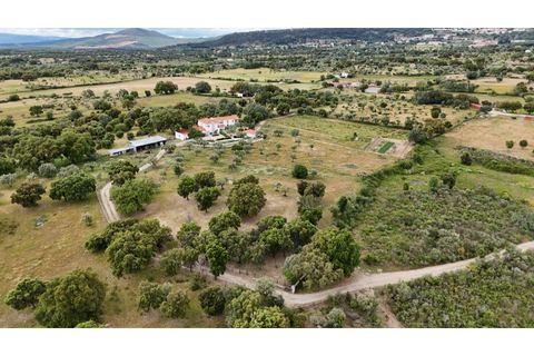 Landejendom i Penamacor, Castelo Branco, Penamacor - € 900.000 | Ref: EXP_448 - foto 47