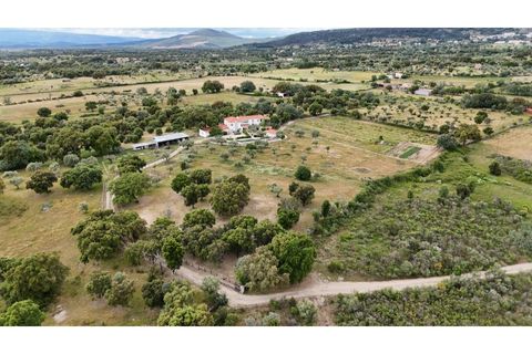 Landejendom i Penamacor, Castelo Branco, Penamacor - € 900.000 | Ref: EXP_448 - foto 48