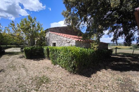 Landejendom i Penamacor, Castelo Branco, Penamacor - € 900.000 | Ref: EXP_448 - foto 49