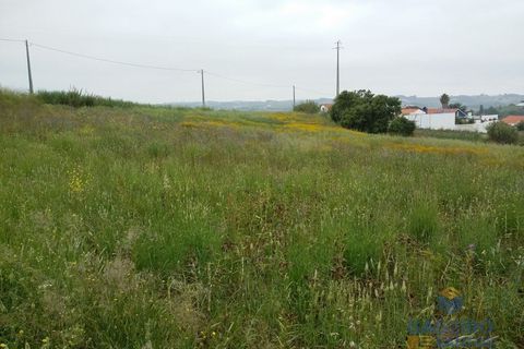 Tomt i A dos Francos, Leiria, A dos Francos - € 75 000 | Ref: TC532 - foto 2