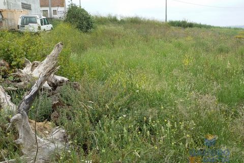 Tomt i A dos Francos, Leiria, A dos Francos - € 75 000 | Ref: TC532 - foto 4