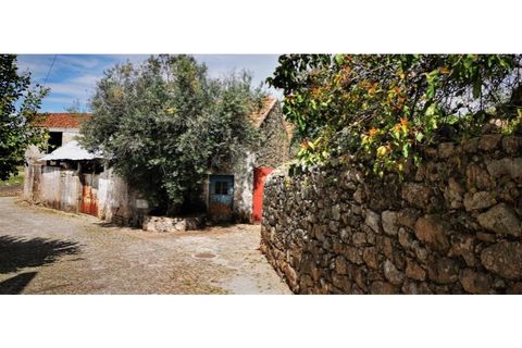 Farm i Escalos de Cima e Lousa, Castelo Branco, Escalos de Cima e Lousa - € 26.400 | Ref: MAS_309 - foto 2
