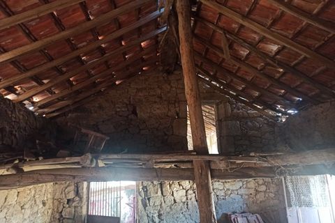 Farm i Escalos de Cima e Lousa, Castelo Branco, Escalos de Cima e Lousa - € 26.400 | Ref: MAS_309 - foto 3