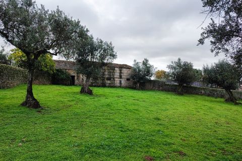 Farm i Escalos de Cima e Lousa, Castelo Branco, Escalos de Cima e Lousa - € 26.400 | Ref: MAS_309 - foto 4