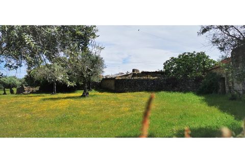Farm i Escalos de Cima e Lousa, Castelo Branco, Escalos de Cima e Lousa - € 26.400 | Ref: MAS_309 - foto 7