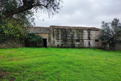 Farm i Escalos de Cima e Lousa, Castelo Branco, Escalos de Cima e Lousa - € 26.400 | Ref: MAS_309 - foto 8