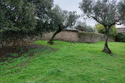 Farm i Escalos de Cima e Lousa, Castelo Branco, Escalos de Cima e Lousa - € 26.400 | Ref: MAS_309 - foto 9