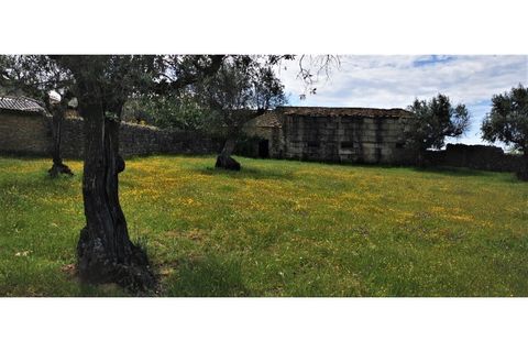 Farm i Escalos de Cima e Lousa, Castelo Branco, Escalos de Cima e Lousa - € 26.400 | Ref: MAS_309 - foto 10
