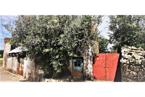 Farm i Escalos de Cima e Lousa, Castelo Branco, Escalos de Cima e Lousa - € 26.400 | Ref: MAS_309 - foto 15