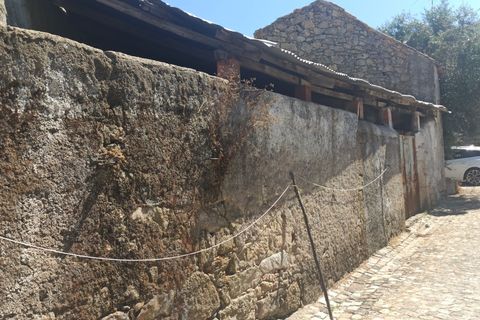 Farm i Escalos de Cima e Lousa, Castelo Branco, Escalos de Cima e Lousa - € 26.400 | Ref: MAS_309 - foto 16