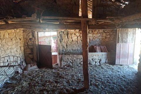 Farm i Escalos de Cima e Lousa, Castelo Branco, Escalos de Cima e Lousa - € 26.400 | Ref: MAS_309 - foto 19