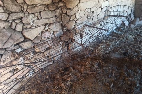 Farm i Escalos de Cima e Lousa, Castelo Branco, Escalos de Cima e Lousa - € 26.400 | Ref: MAS_309 - foto 20