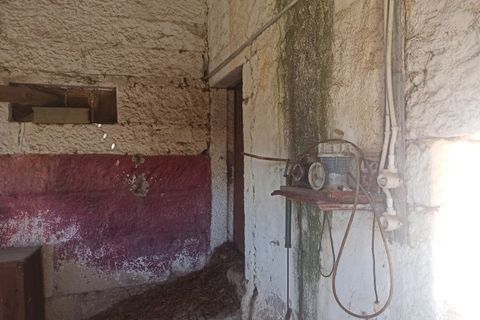 Farm i Escalos de Cima e Lousa, Castelo Branco, Escalos de Cima e Lousa - € 26.400 | Ref: MAS_309 - foto 21