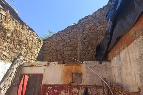 Farm i Escalos de Cima e Lousa, Castelo Branco, Escalos de Cima e Lousa - € 26.400 | Ref: MAS_309 - foto 22