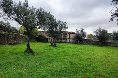 Farm i Escalos de Cima e Lousa, Castelo Branco, Escalos de Cima e Lousa - € 26.400 | Ref: MAS_309 - foto 30