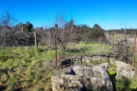 Helårsgrund i Escalos de Cima e Lousa, Castelo Branco, Escalos de Cima e Lousa - € 9.500 | Ref: SÒL_270 - foto 6