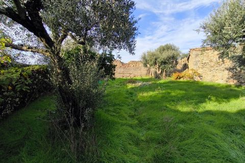Helårsgrund i Escalos de Cima e Lousa, Castelo Branco, Escalos de Cima e Lousa - € 25.000 | Ref: SÒL_421 - foto 3