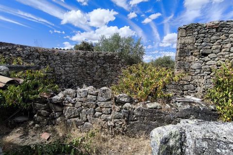 Helårsgrund i Escalos de Cima e Lousa, Castelo Branco, Escalos de Cima e Lousa - € 25.000 | Ref: SÒL_421 - foto 7