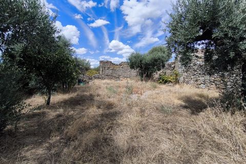 Helårsgrund i Escalos de Cima e Lousa, Castelo Branco, Escalos de Cima e Lousa - € 25.000 | Ref: SÒL_421 - foto 8