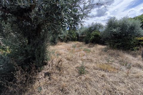 Helårsgrund i Escalos de Cima e Lousa, Castelo Branco, Escalos de Cima e Lousa - € 25.000 | Ref: SÒL_421 - foto 9