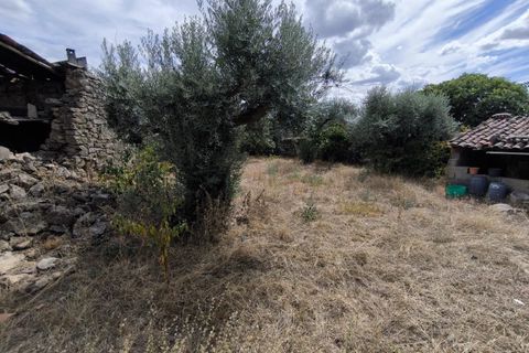 Helårsgrund i Escalos de Cima e Lousa, Castelo Branco, Escalos de Cima e Lousa - € 25.000 | Ref: SÒL_421 - foto 10