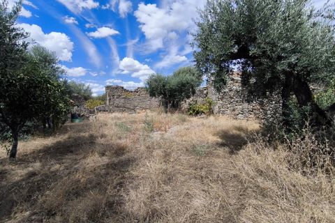 Helårsgrund i Escalos de Cima e Lousa, Castelo Branco, Escalos de Cima e Lousa - € 25.000 | Ref: SÒL_421 - foto 11